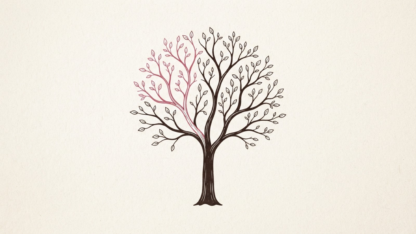 Minimal editorial illustration of a tree structure branching from a trunk into stages, then topics, then single sittings, dark ink line art on cream paper
